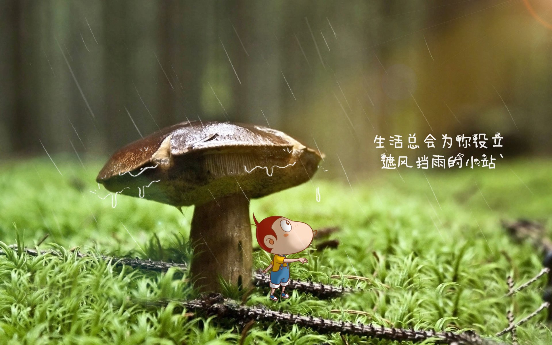 JiuyouAPP下载-“中超足球季后赛正式开启，悬念重重等待揭晓”，中超赛季结束时间