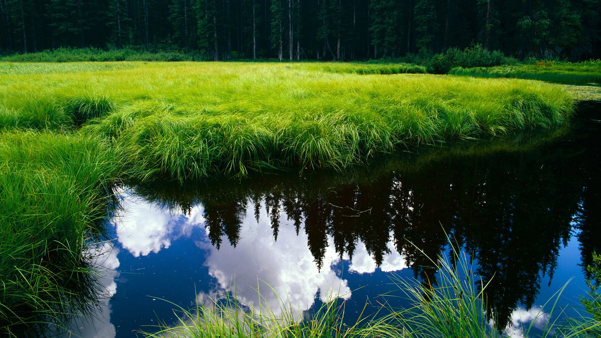 九游娱乐-那不勒斯在意甲联赛中夺冠,终结33年冠军荒。,那不勒斯意甲战绩