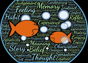 九游娱乐APP-大学生运动行为与自我效能感的交互关系研究,运动自我效能感量表