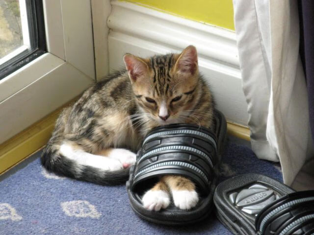 九游网页版入口-意甲球队结合数据分析优化中场传控,意甲技术统计