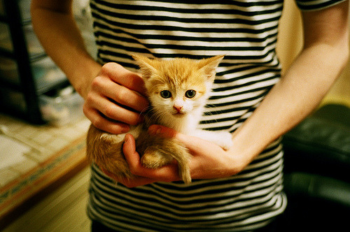 九游网-阿联酋足球联赛本土新星崛起,阿联酋足球实力怎么样