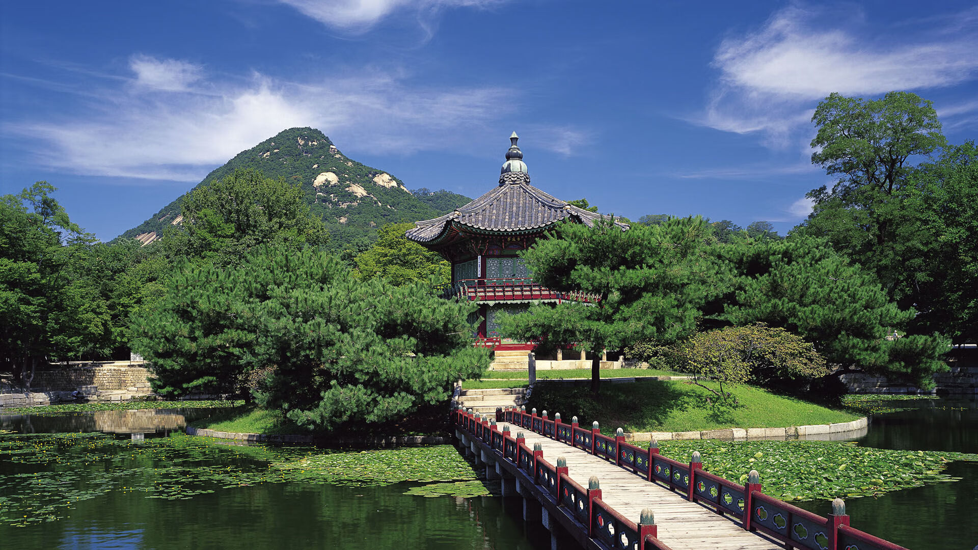 JiuyouAPP下载-水球战术调整助南非晋级八强,水球2021