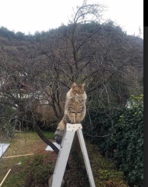 -热火小前锋在训练中命中关键远投引热议,小前锋主要是突破还是投篮