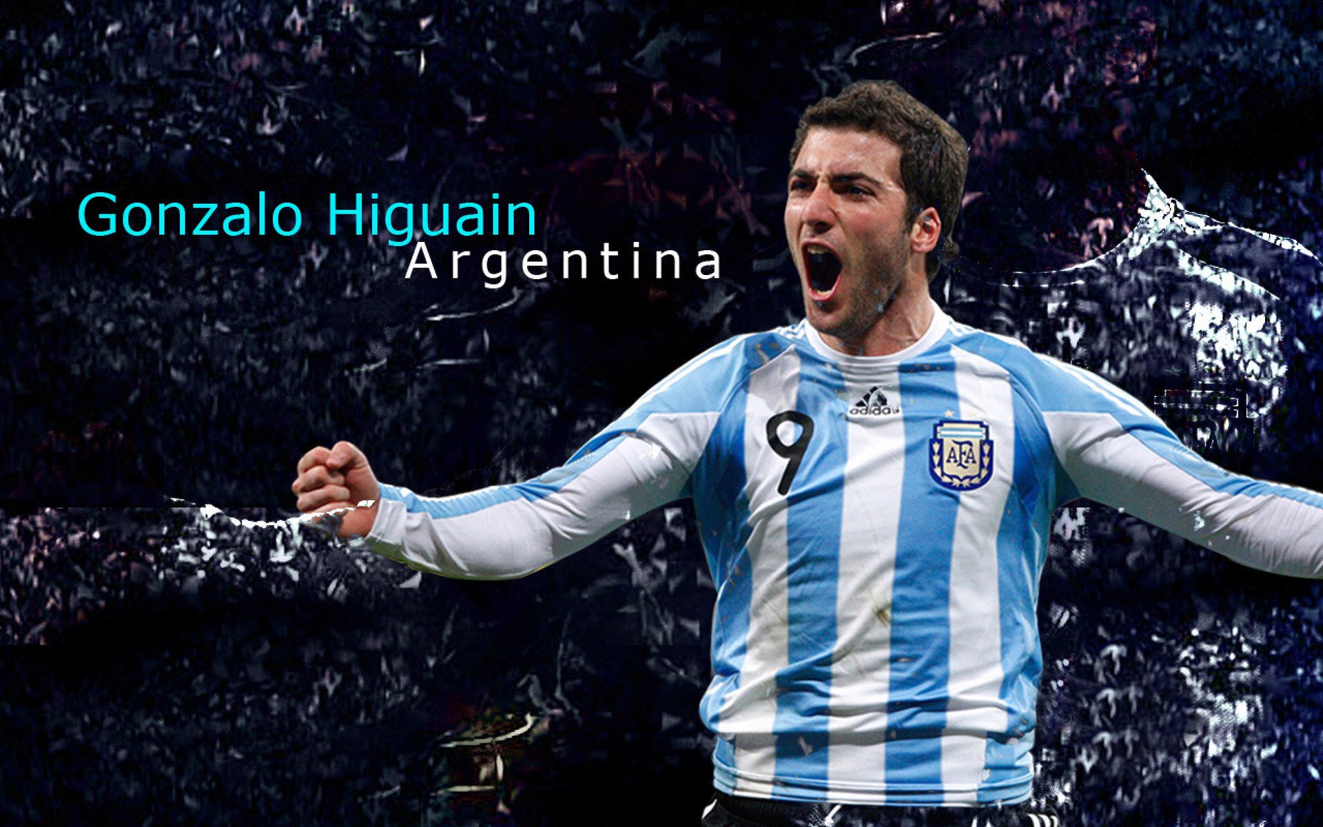 WRC车队合作：团队配合决定胜负，wrc车队排名