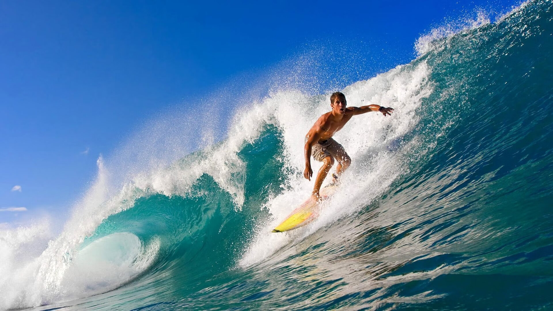【水手队状态回暖】从连续失利到连胜五场,水手水手
